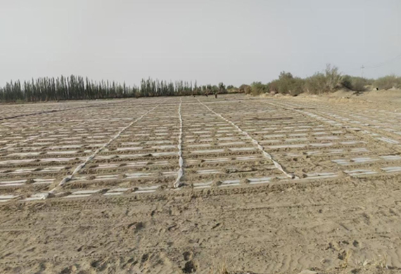 emc易倍·(中国)体育官方网站-EMC SPORTS