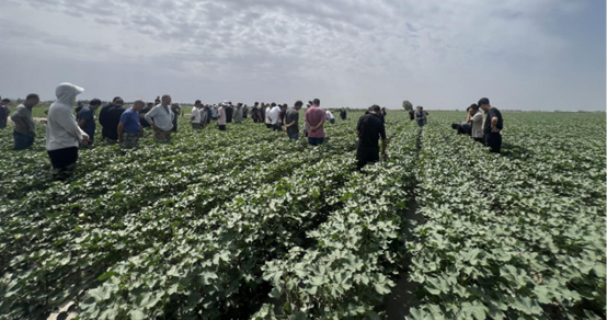 emc易倍·(中国)体育官方网站-EMC SPORTS