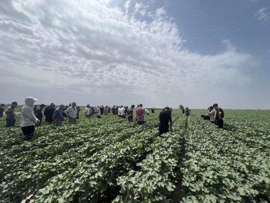 emc易倍·(中国)体育官方网站-EMC SPORTS