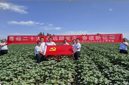 emc易倍·(中国)体育官方网站-EMC SPORTS