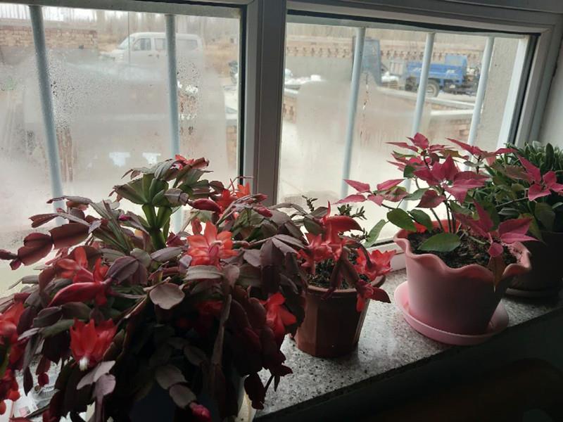 建业有个“建家”的梦