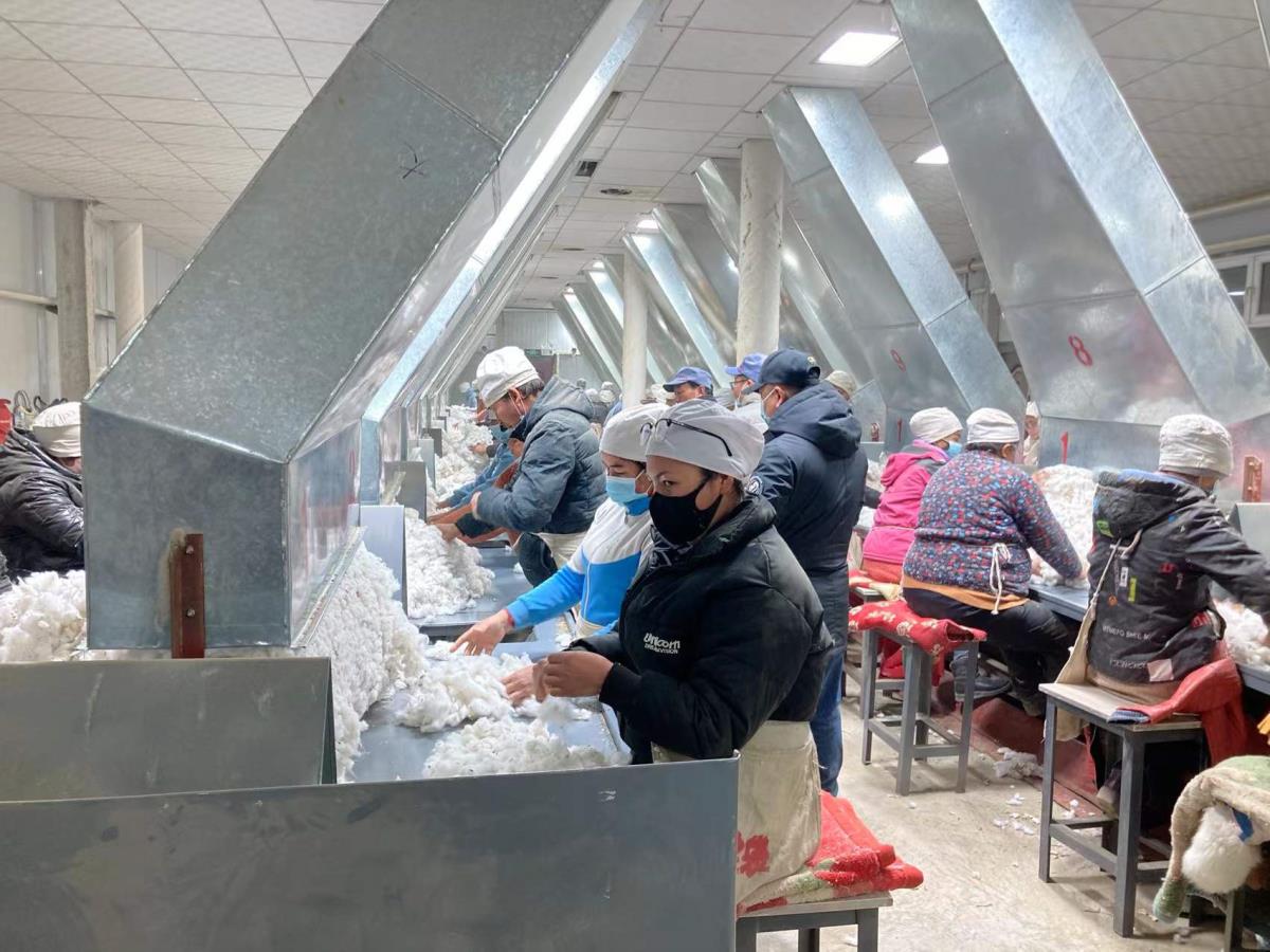 emc易倍·(中国)体育官方网站-EMC SPORTS