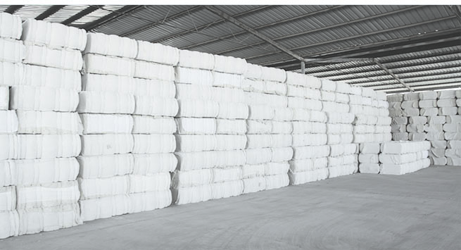 emc易倍·(中国)体育官方网站-EMC SPORTS